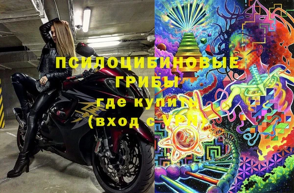 хмурый Нефтекумск