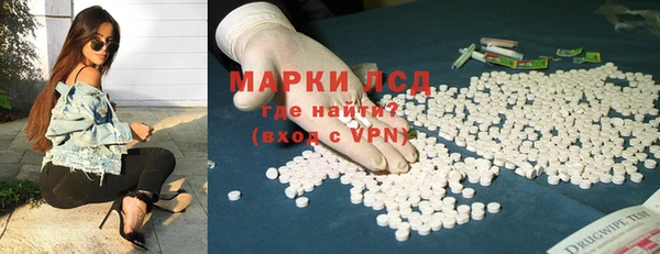 хмурый Нефтекумск