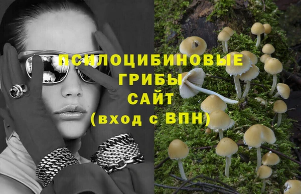 метадон Нея