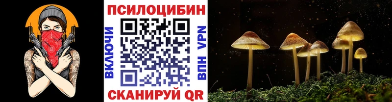 Галлюциногенные грибы прущие грибы  Купить где  Няндома 